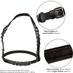 euphoria harnais boucle licol noir