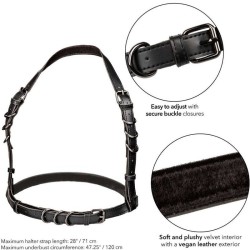 euphoria harnais boucle licol taille plus noir