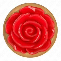 plug anal or rose avec rose rouge m