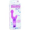 loriginal bunny kiss rose
