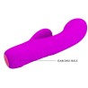 vibrateur rechargeable tim purple