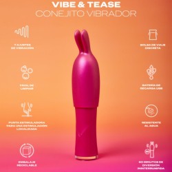 toy vibrateur vibe & tease