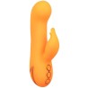 montecito muse vibrateur lapin orange par california dreaming