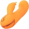 montecito muse vibrateur lapin orange par california dreaming