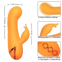 montecito muse vibrateur lapin orange par california dreaming