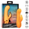 montecito muse vibrateur lapin orange par california dreaming