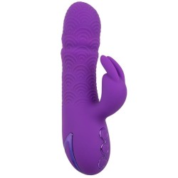 manhattan beach marvel vibrateur rabbit violet par california dreaming