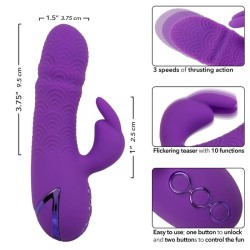 manhattan beach marvel vibrateur rabbit violet par california dreaming