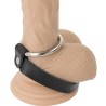 anneau métallique pour le pénis et les testicules