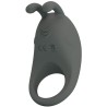 anneau vibrant stratus lapin gris
