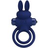 darey double anneau vibrant lapin bleu