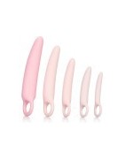Dilatateur vaginal-anal